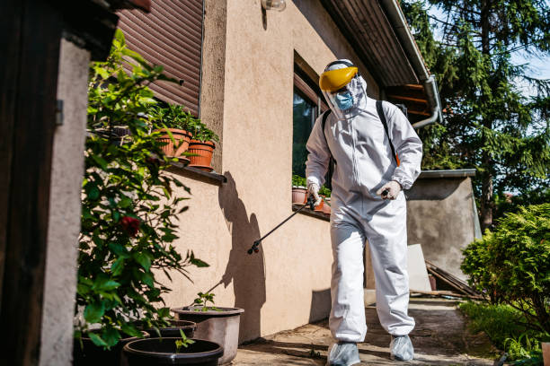 Best Wildlife Control Services  in Big Bear City, CA