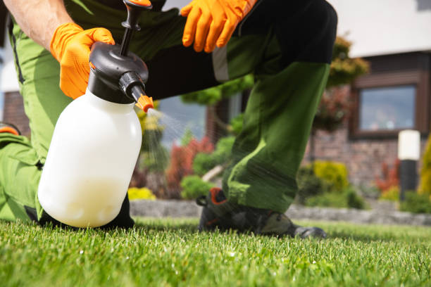 Best Bird Control  in Big Bear City, CA
