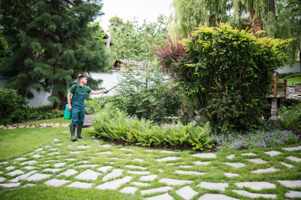 Best Pest Removal Services  in Big Bear City, CA