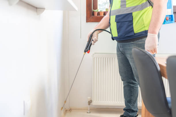 Wasp Removal Services in Big Bear City, CA