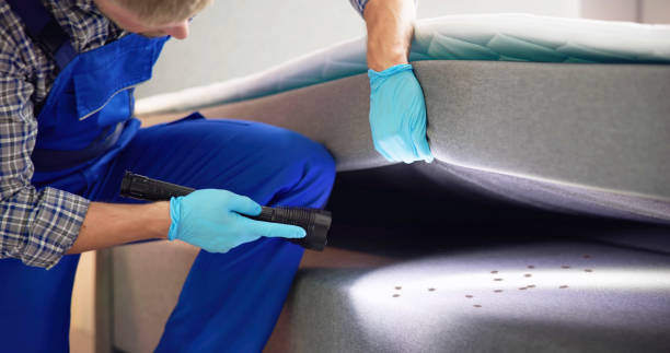 Best Pest Inspection Near Me  in Big Bear City, CA