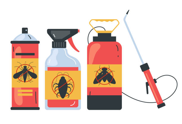 Best Spider Control Near Me  in Big Bear City, CA